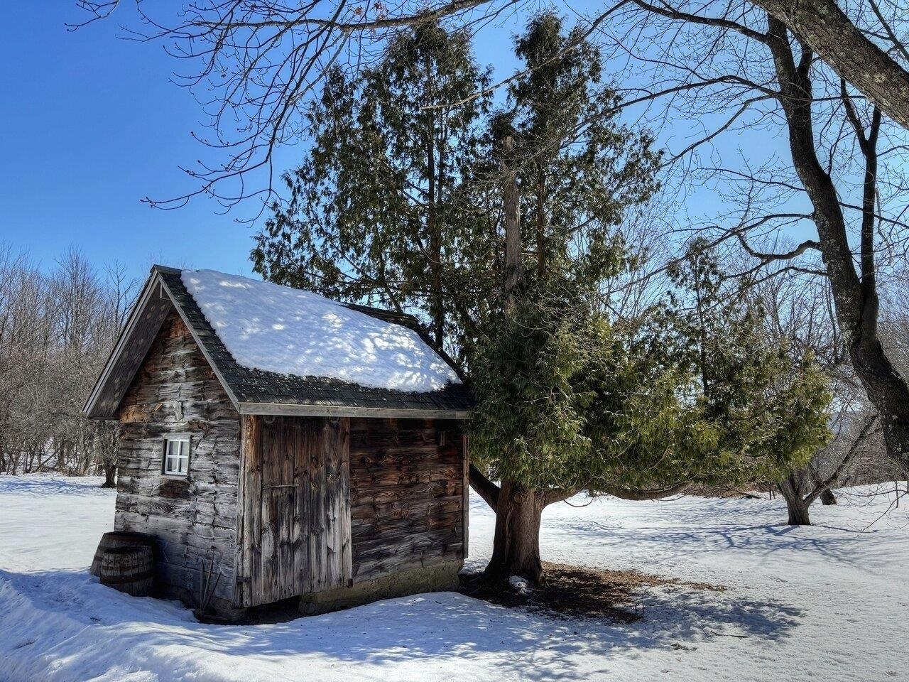 4367 St. George Road