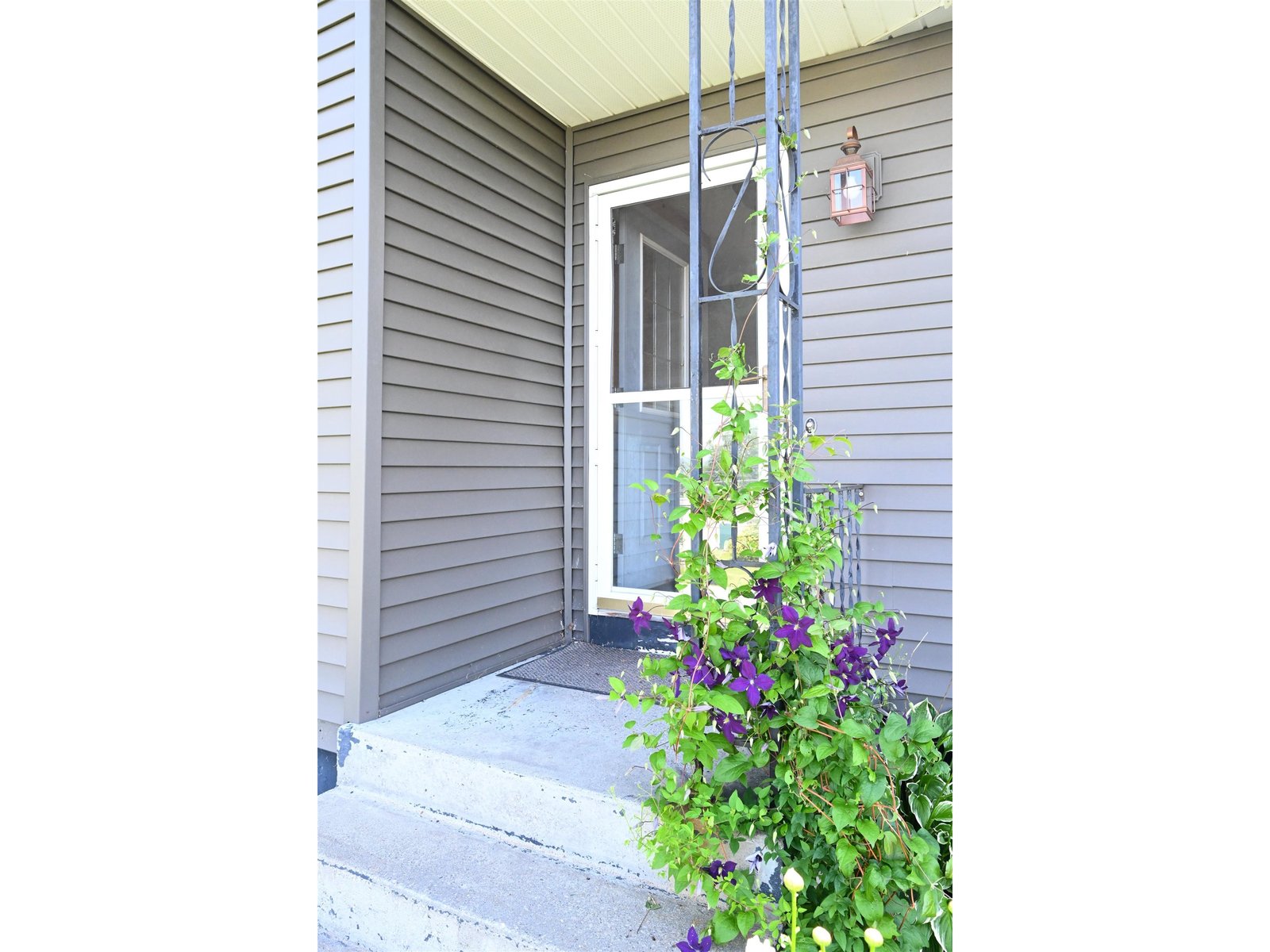 44 Bailey Street