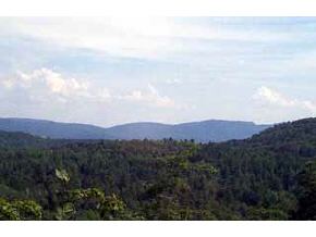 440 HUMMINGBIRD HILL