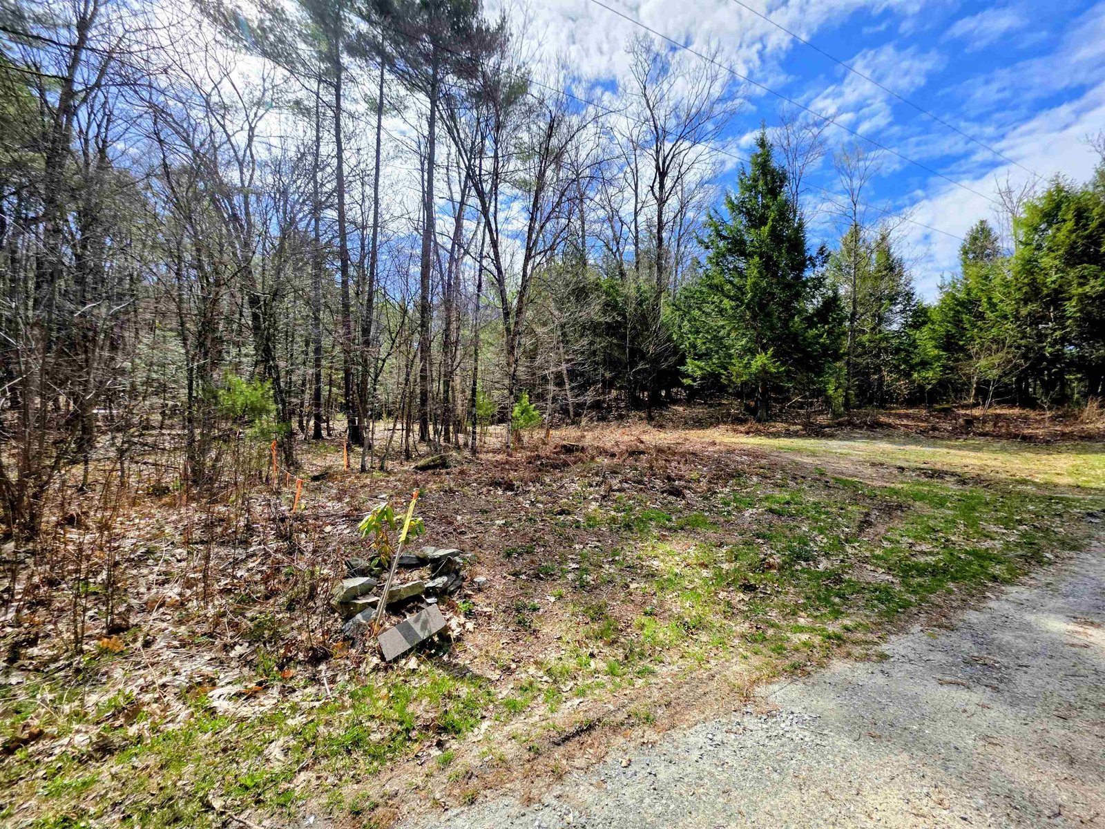 440 Stapelfeld Drive