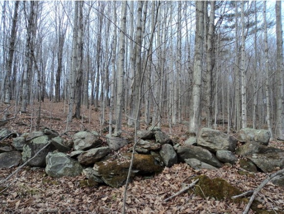 441 Cilley Hill Road, Lot 2