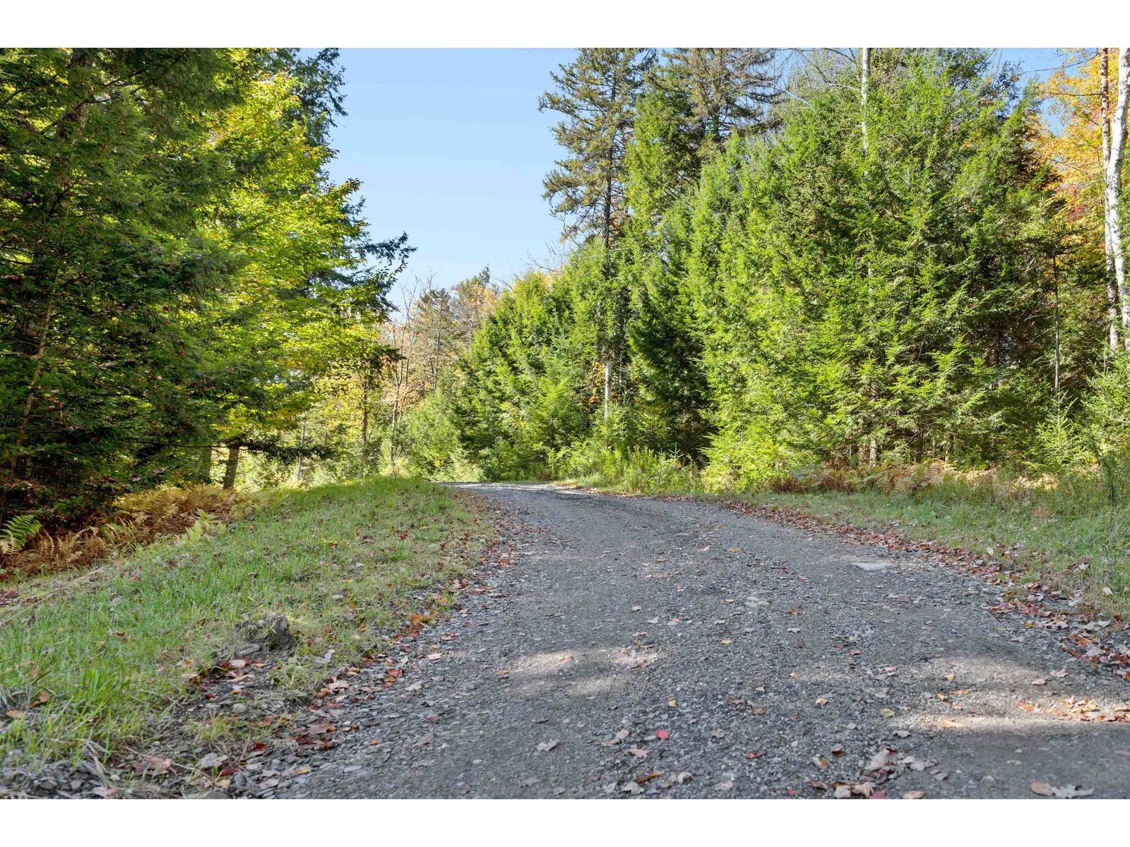 442 VT Route 12