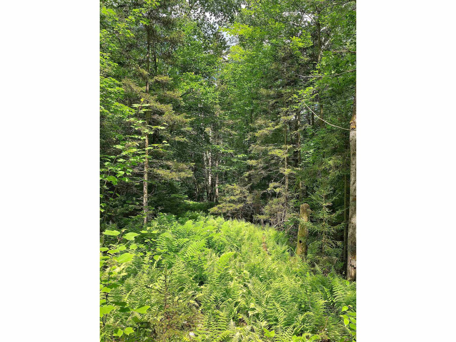 444 Town Line Road