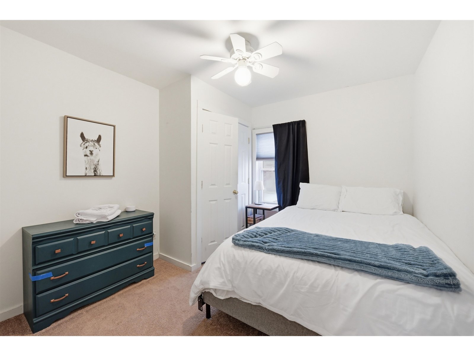 446 Colchester Avenue