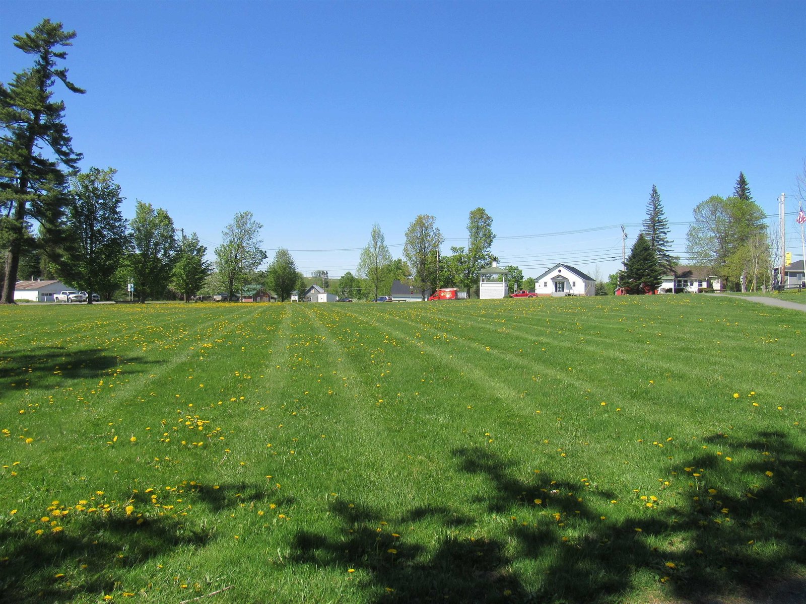 Big Green Space in the Center of Town