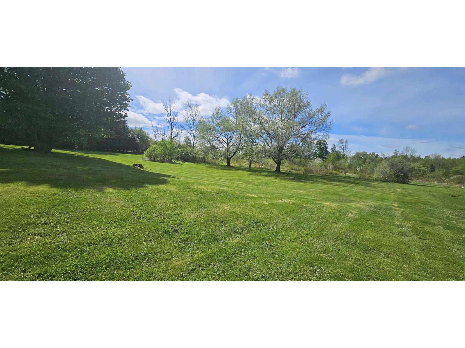 Big Yard