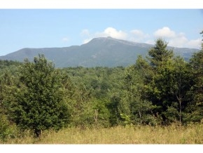 449A Irish Settlement Road