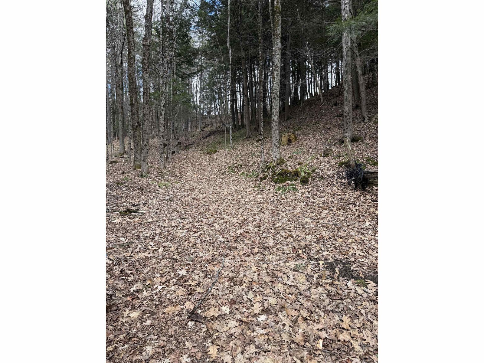 45 Rocky Ridge Road
