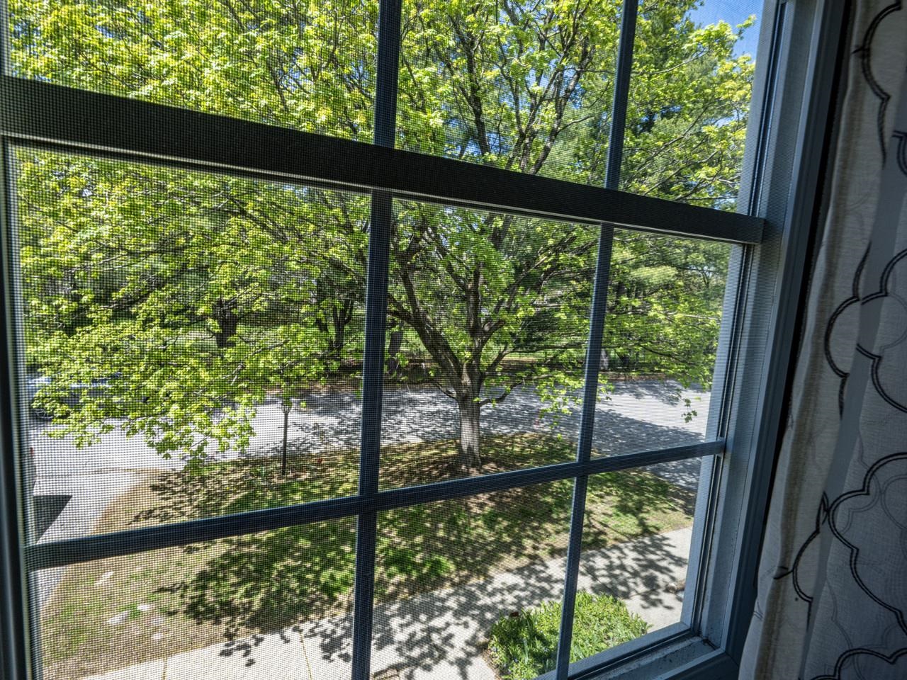 View out front window