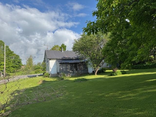 Back yard