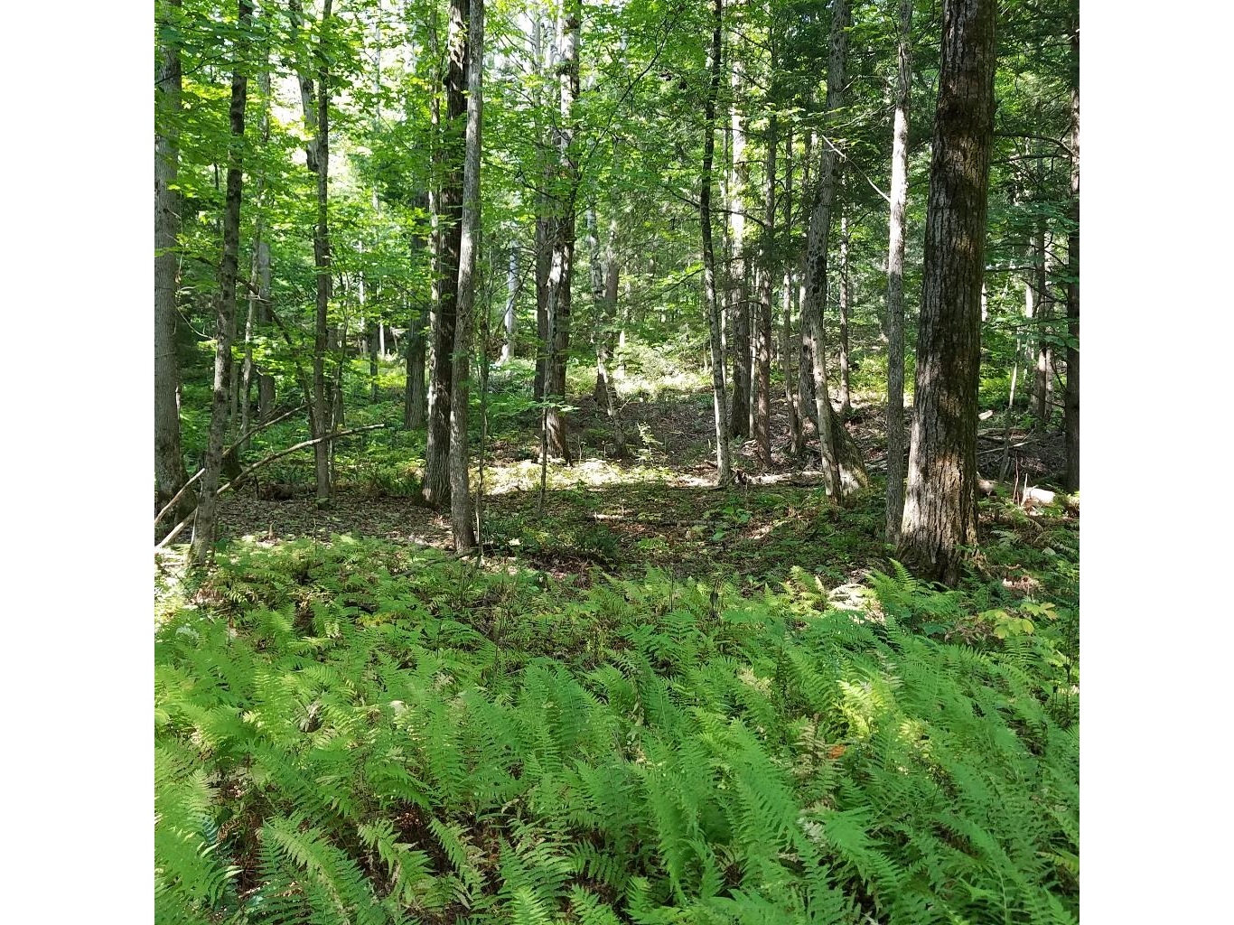 453 Graniteville Road
