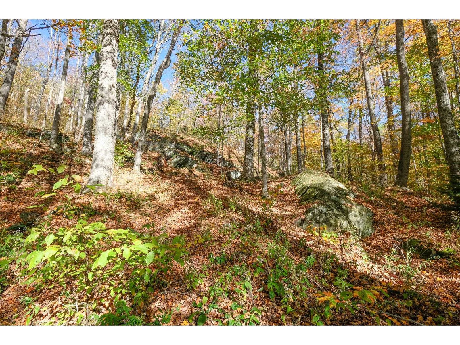 454 Edwin's Pond Road
