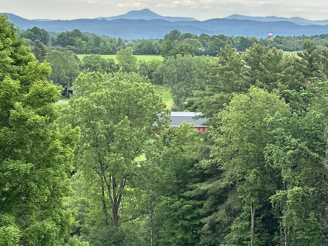 Camel's Hump view from LR