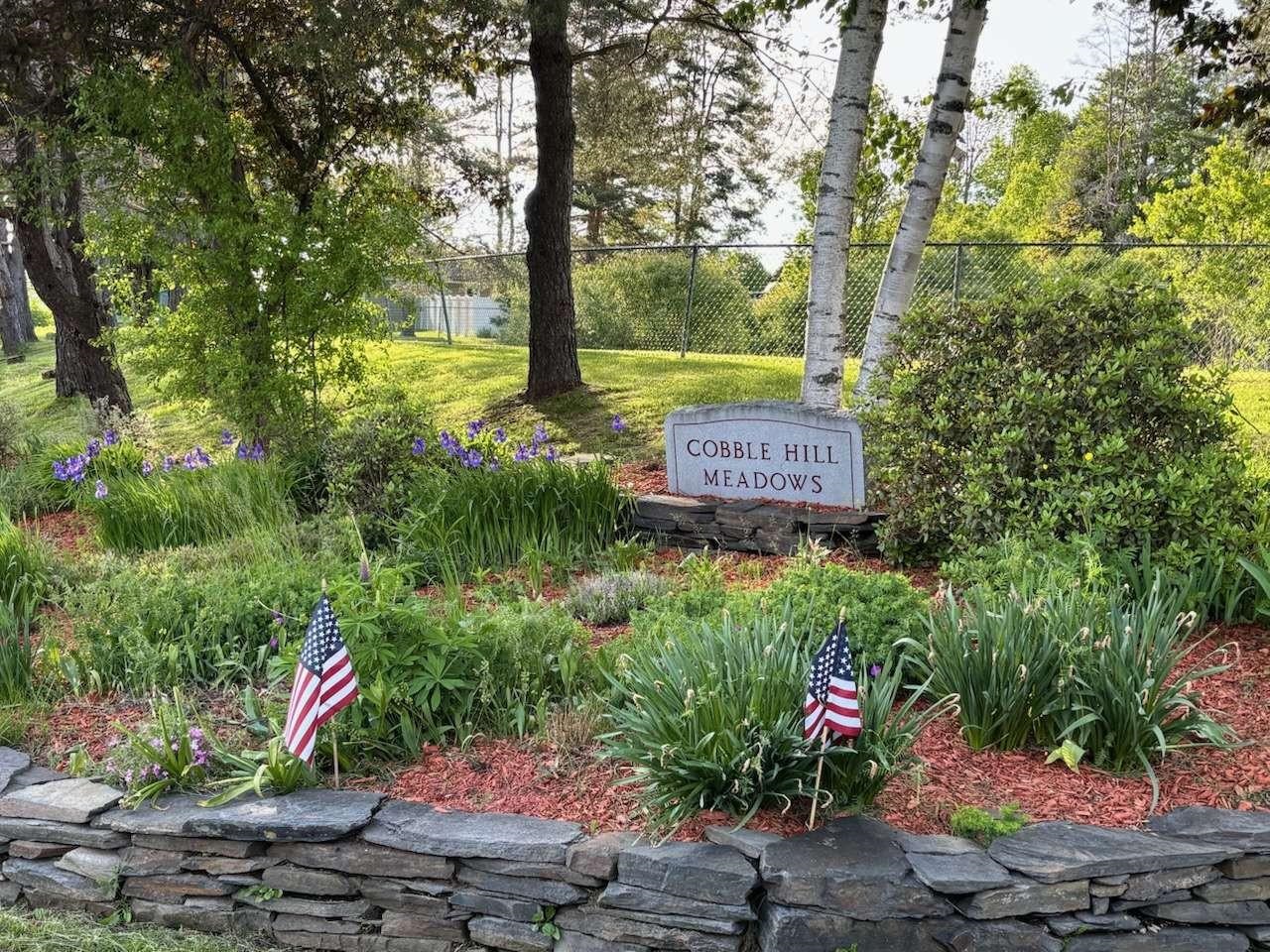 46 Cobble Hill Meadows