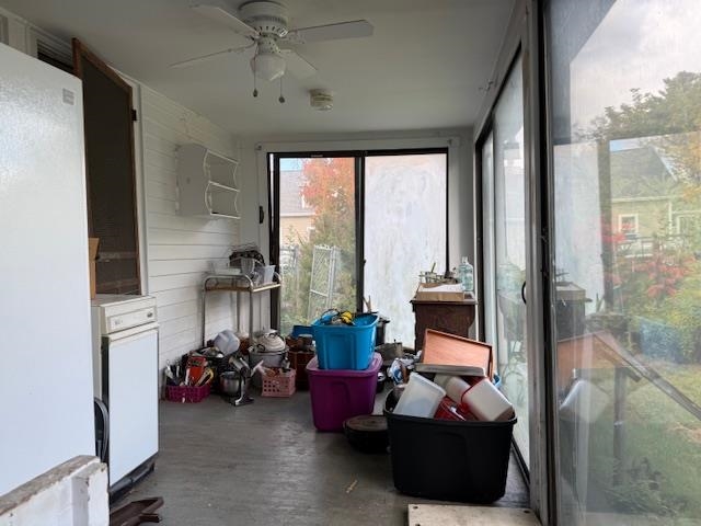 46 Wilkins Street