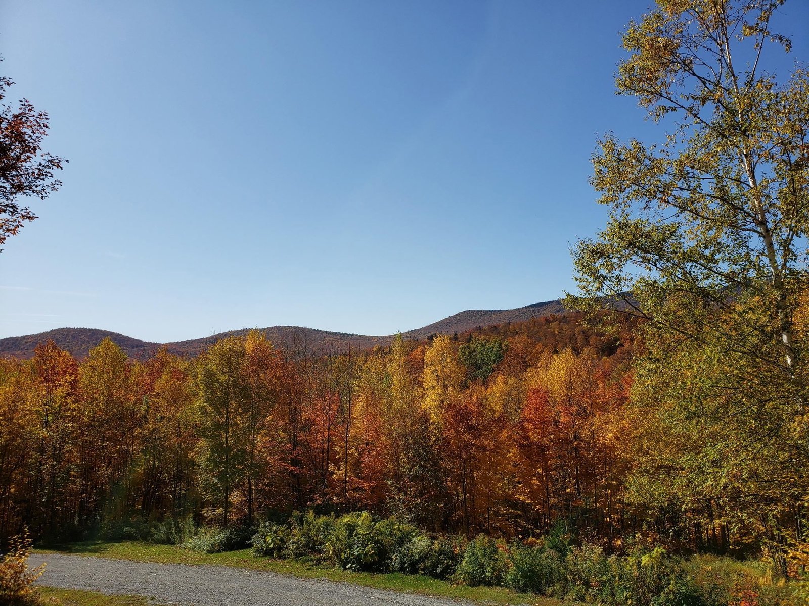 460 Bull Moose Ridge Road