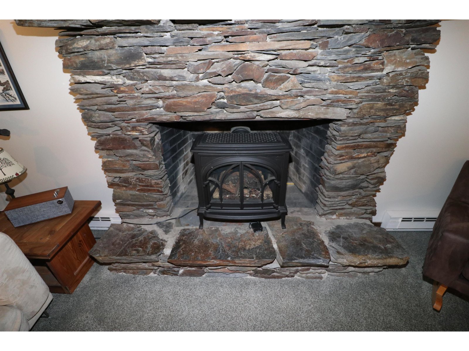 LP Cast Iron stove insert