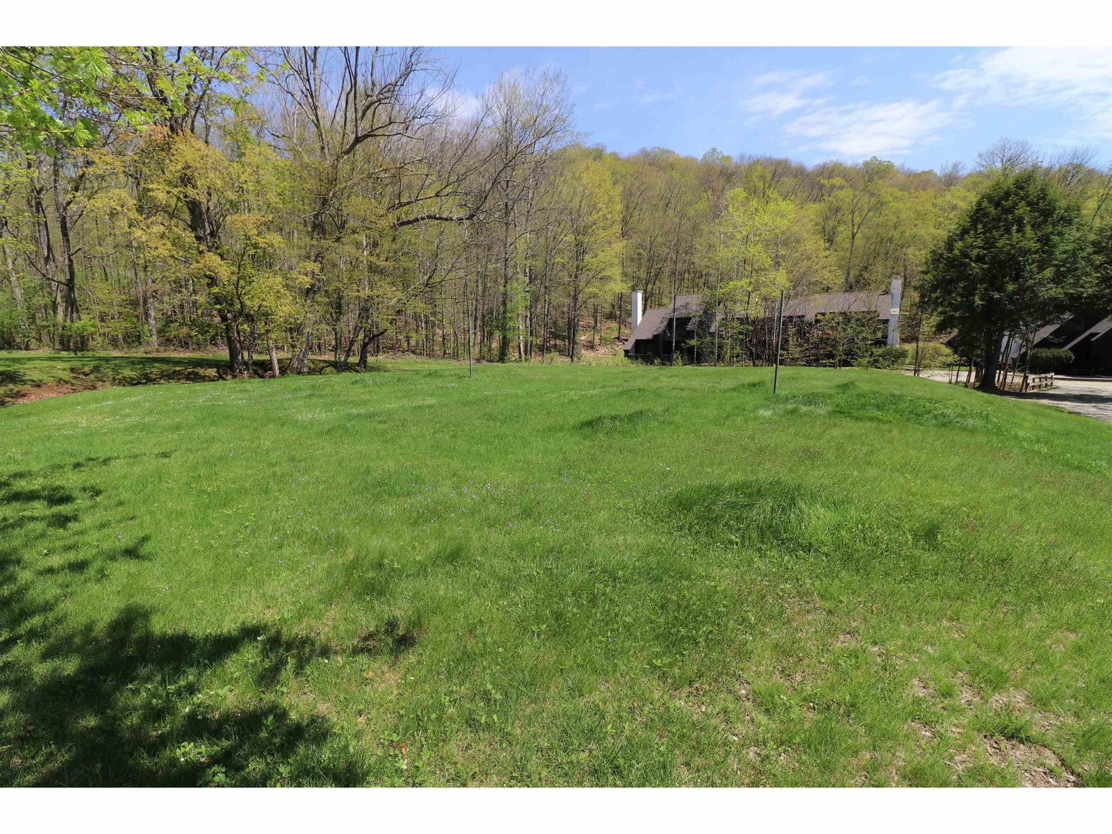 Field & volley ball court