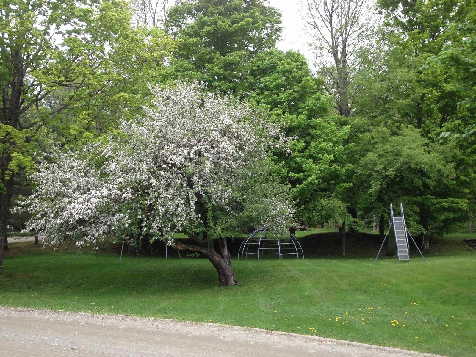 Spring in Vermont!