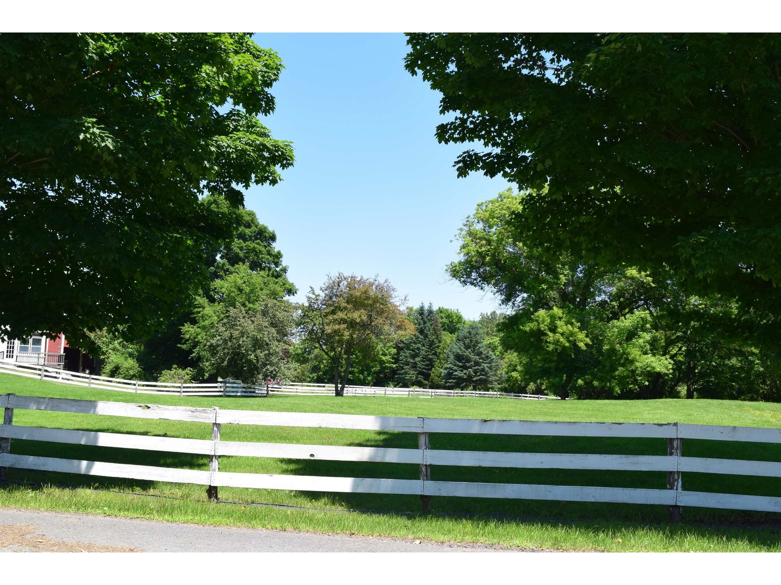 Side and Back yards