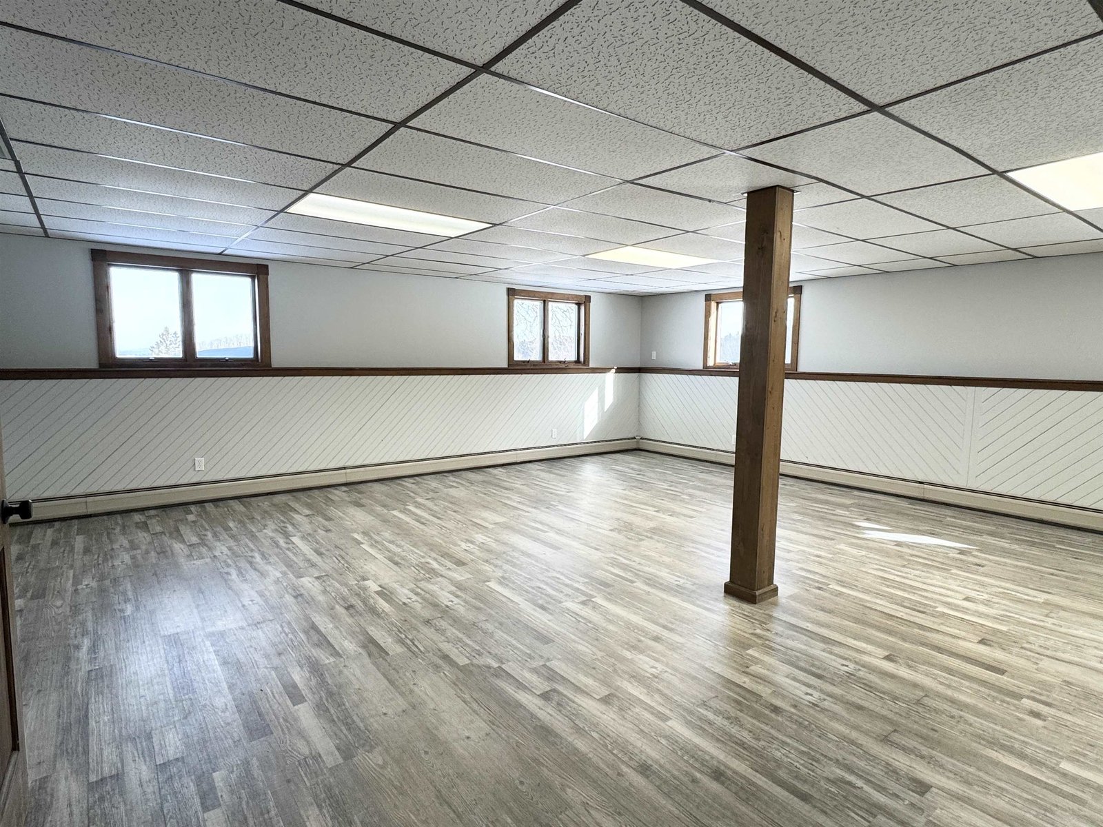 Lower Level Family Room