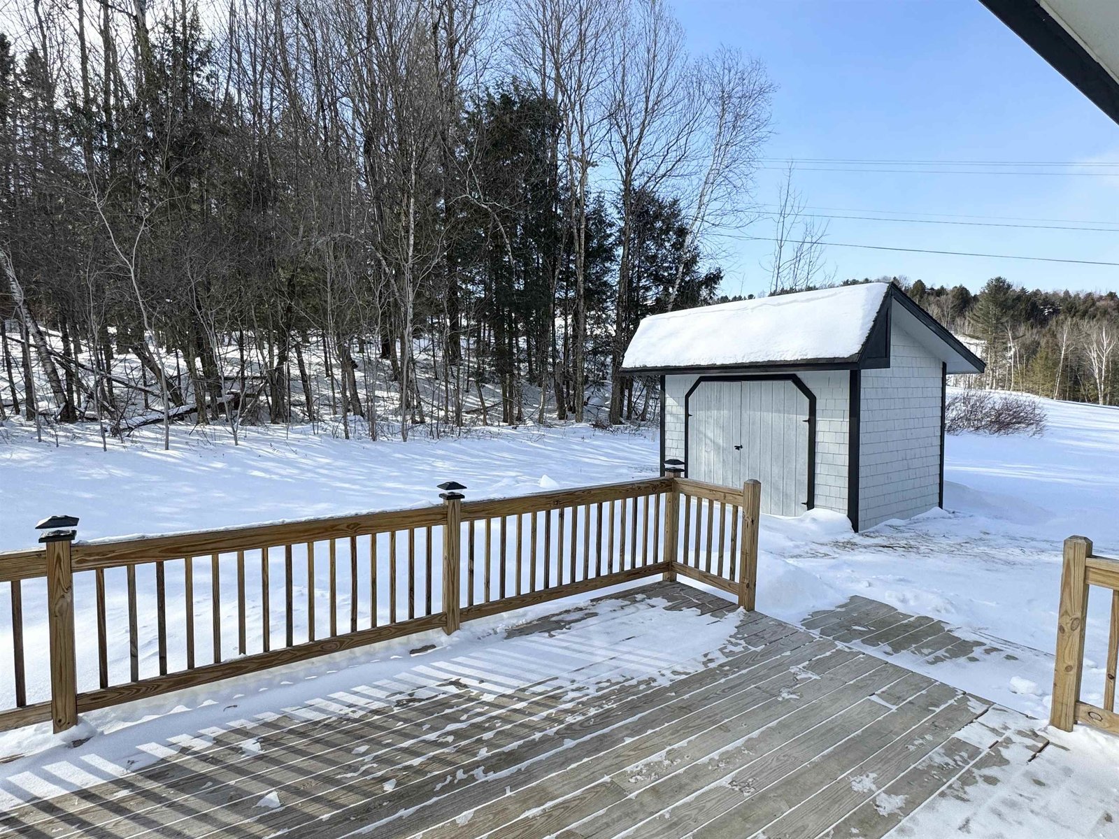 Deck and Shed