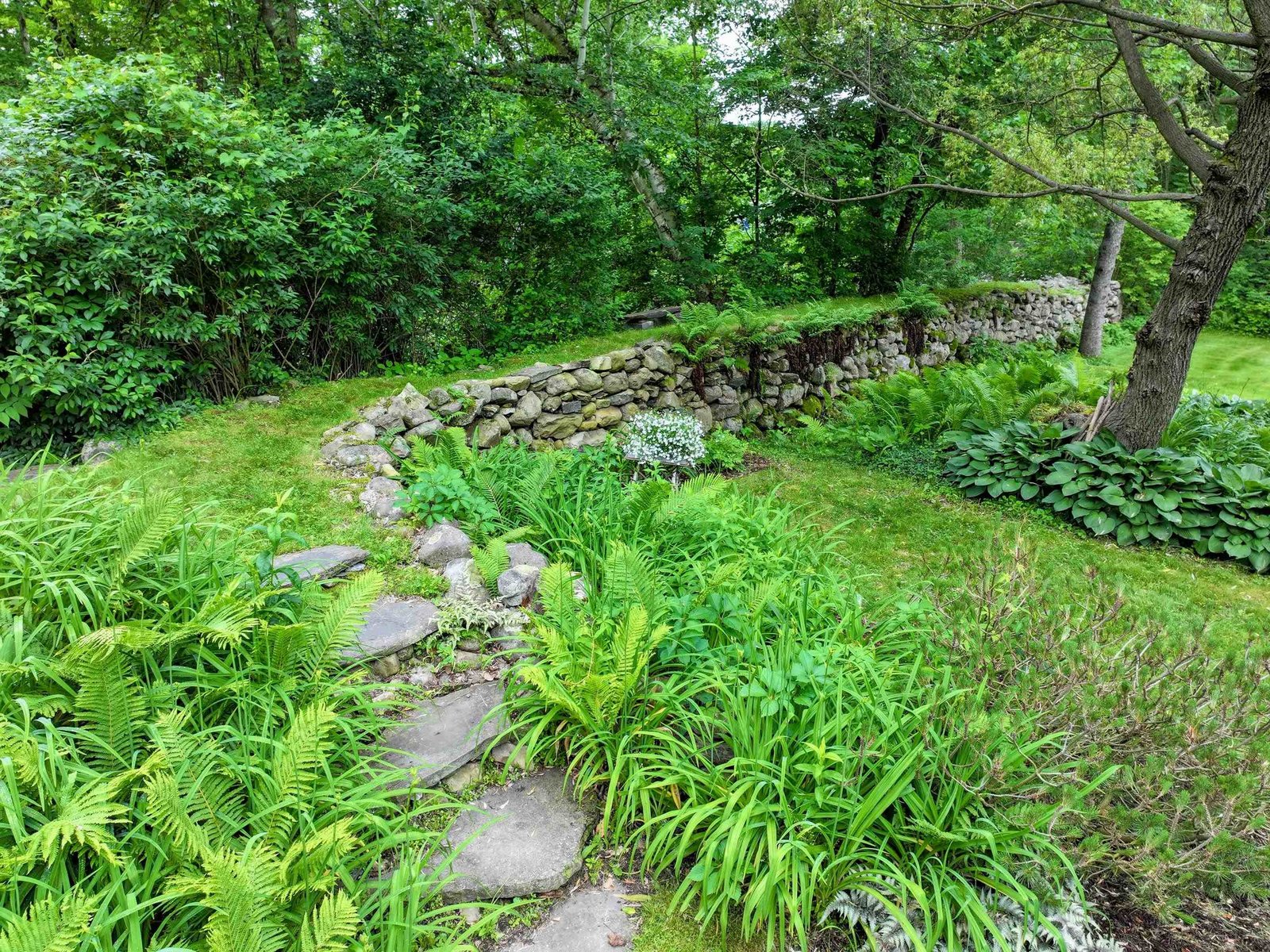 Path to water