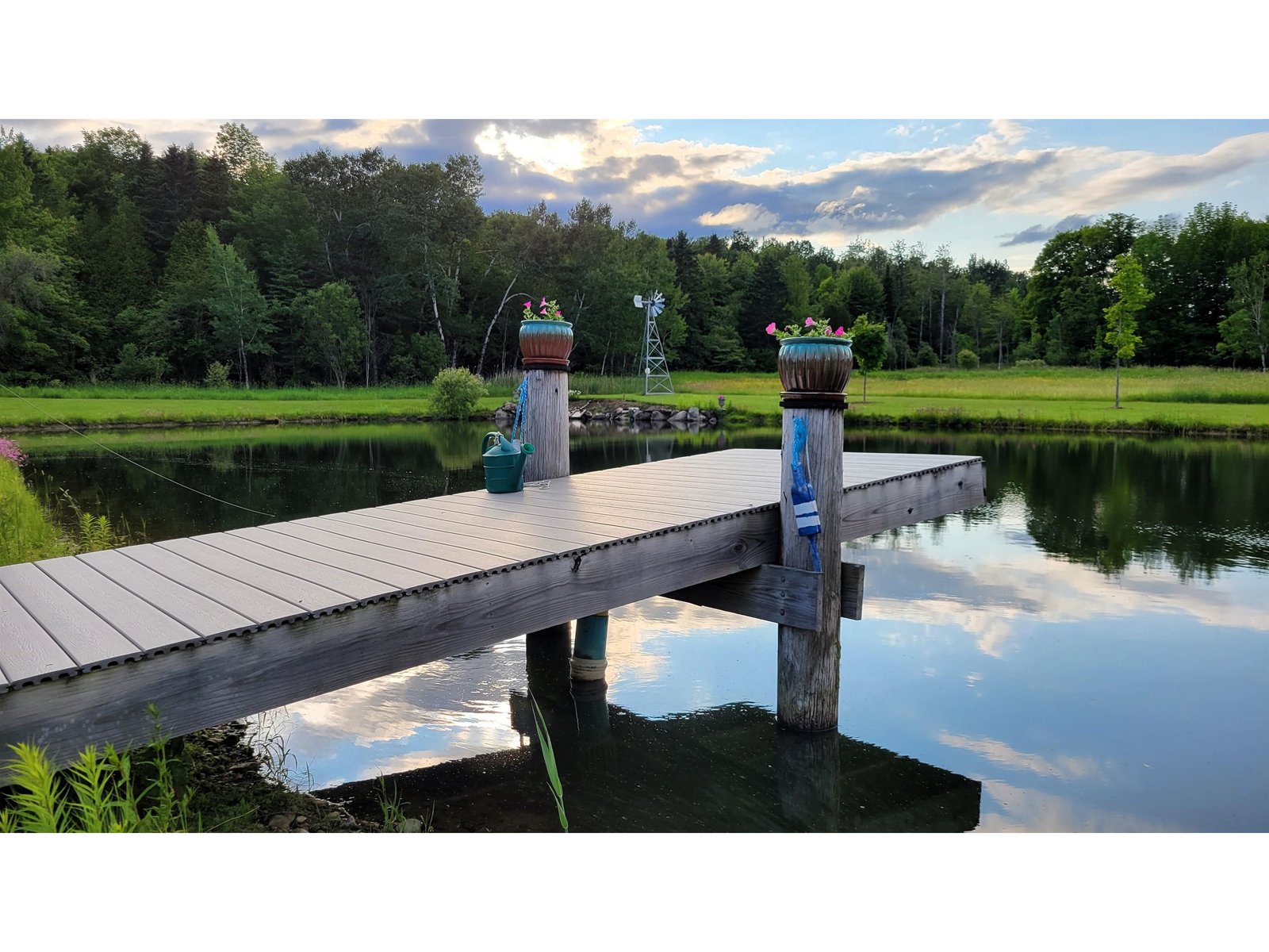 Pond
