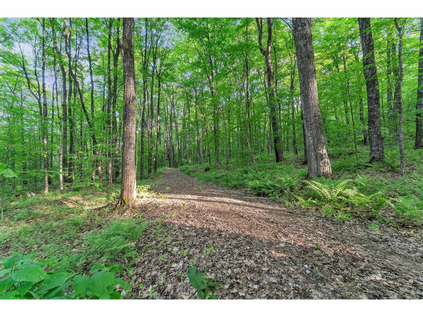 Trails on Property