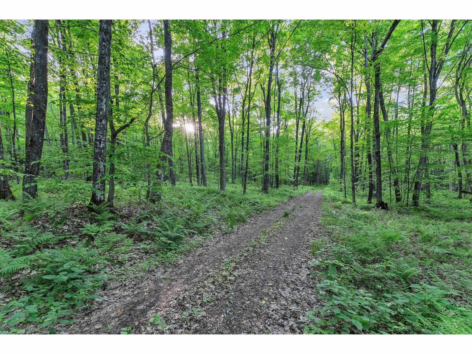 Trails on Property