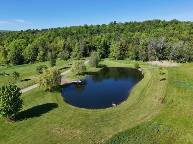 Driveway & Pond