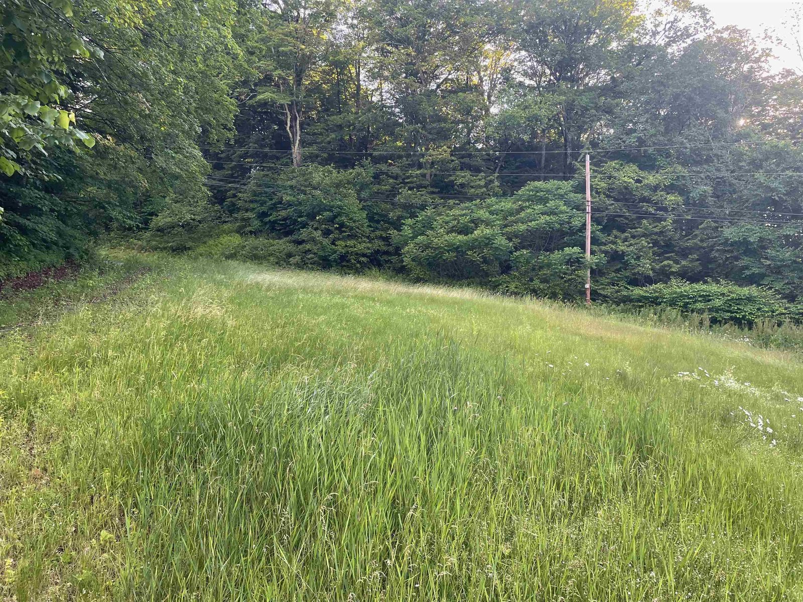 466 Estey Lane