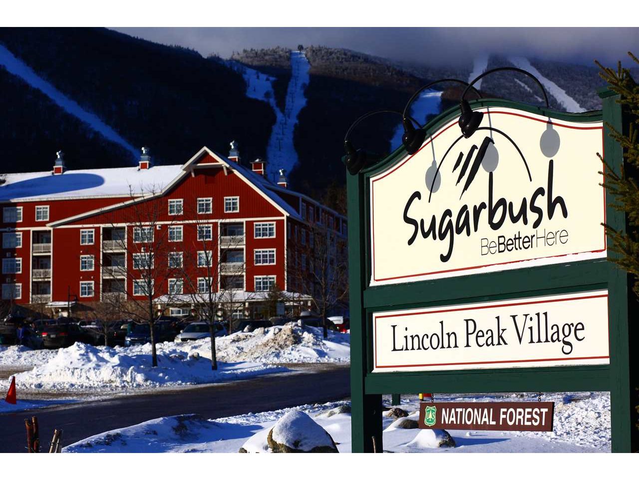 134 / I Clay Brook at Sugarbush, Unit 134 / I Warren, Vermont Sold in