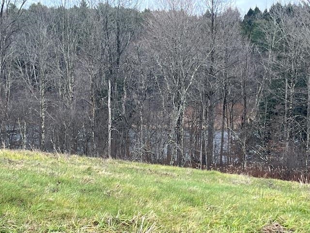 through the trees the river