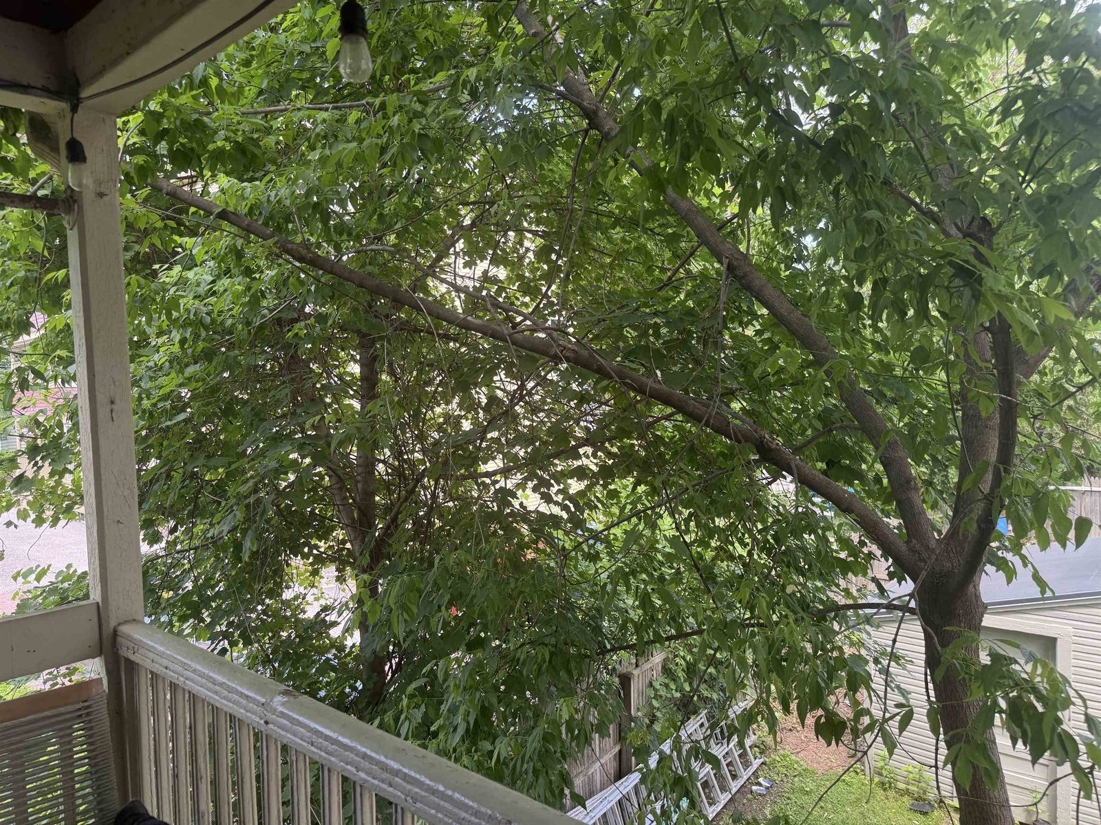 47-49 Greene Street