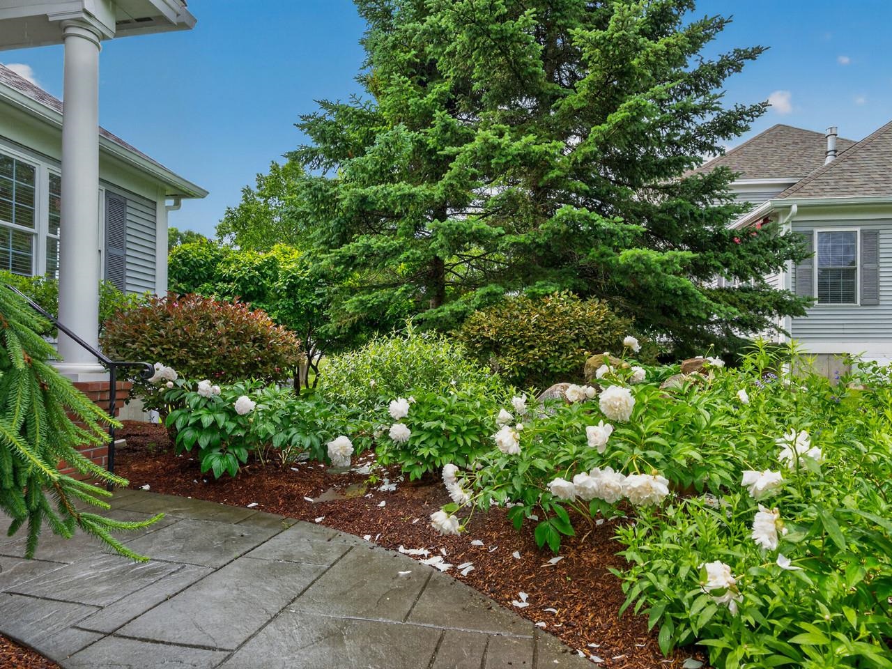 Gorgeous Landscaping