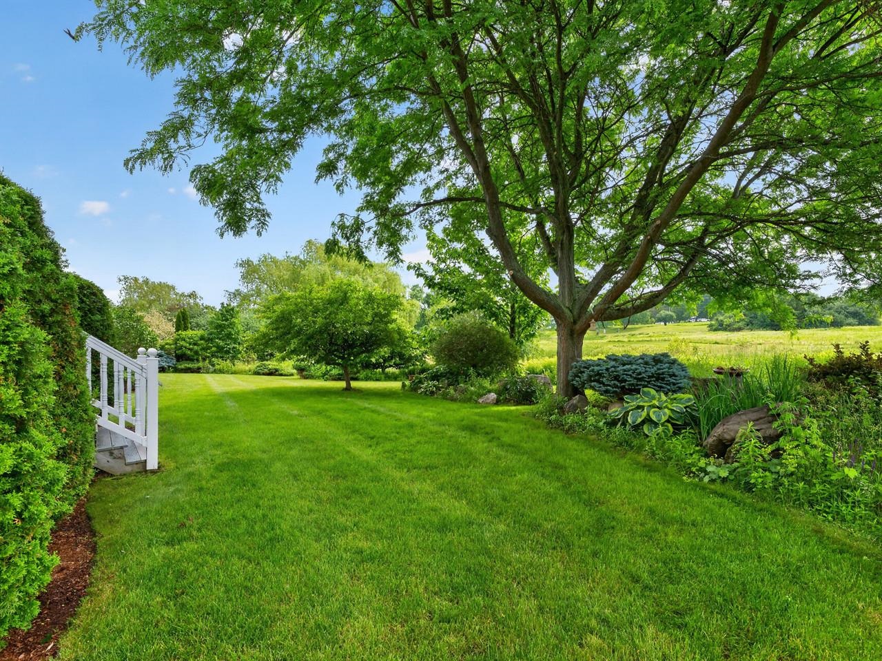 Beautiful Private Backyard