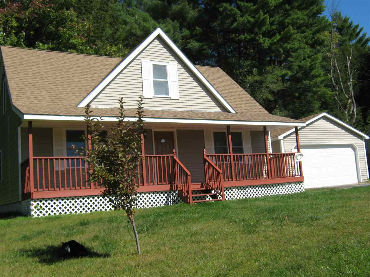 47 Lily Lane