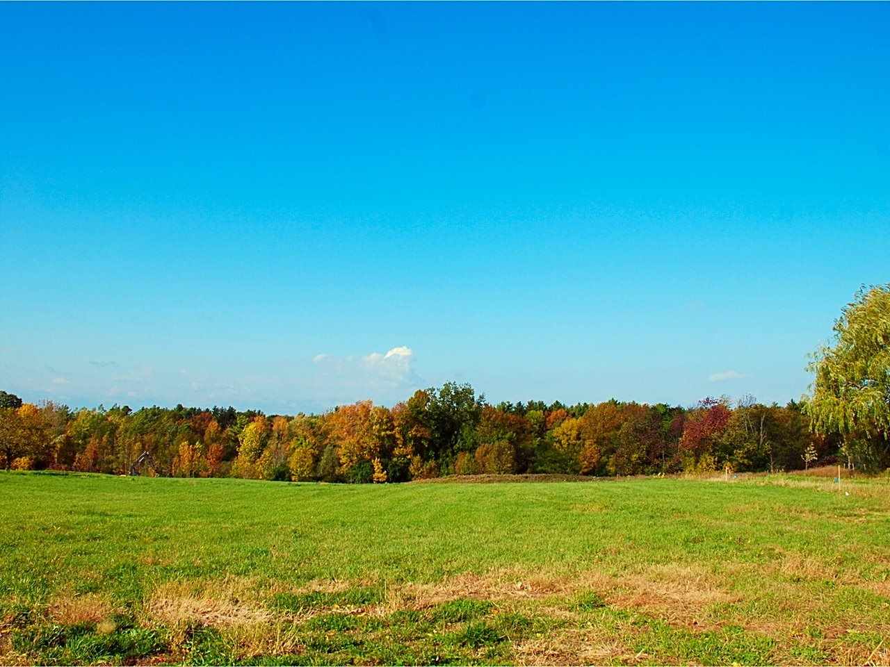 Sold property in Shelburne Sold property in Shelburne