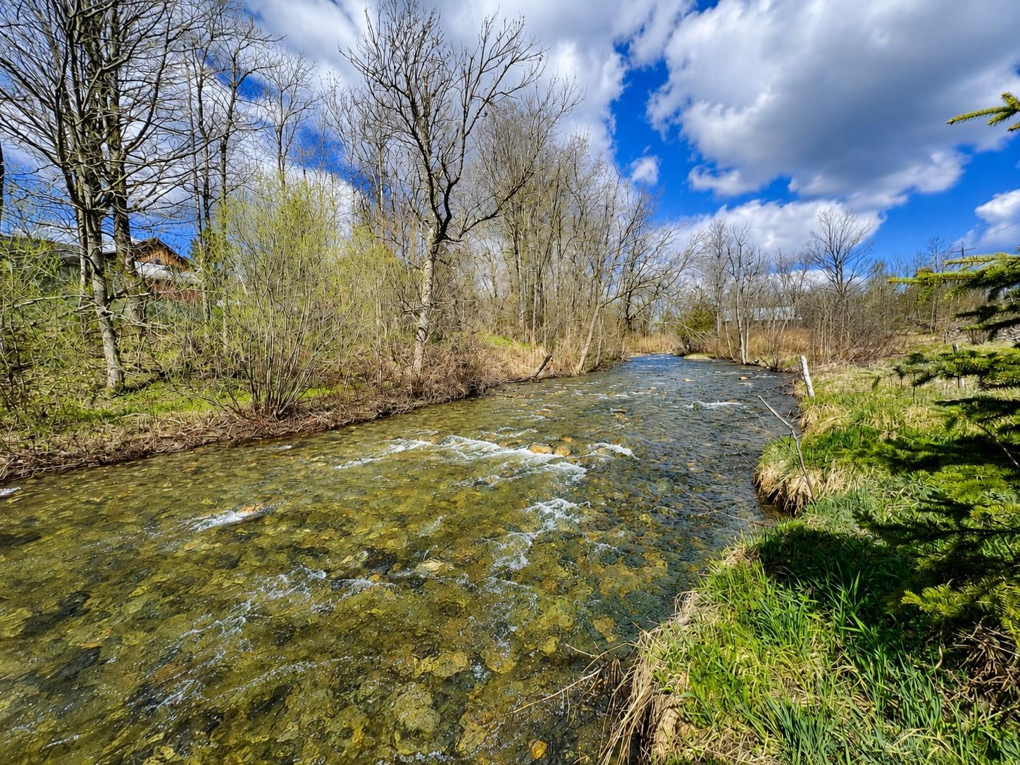 4735 Burke Hollow Road
