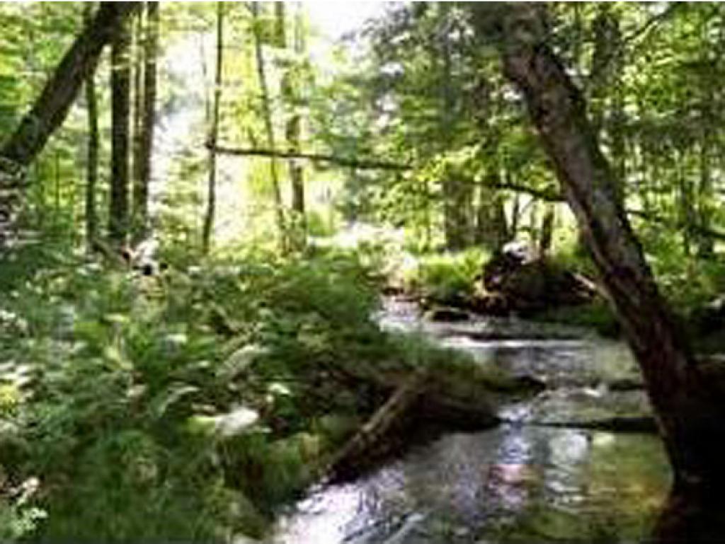 0000 Center Fayston Road Fayston, Vermont