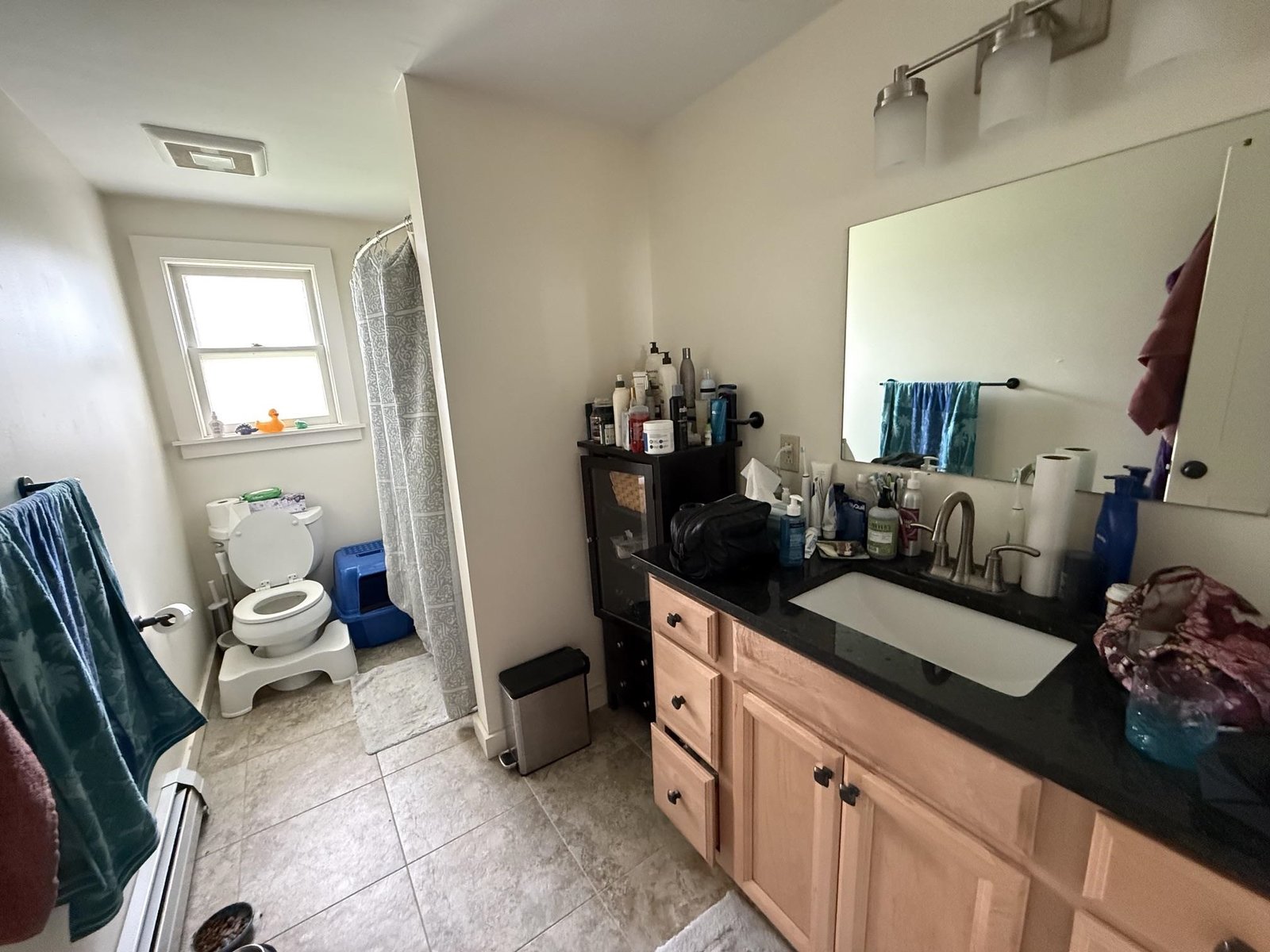 474 Dog Team Road