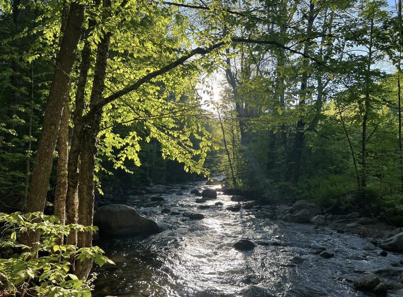 474 VT Route 25