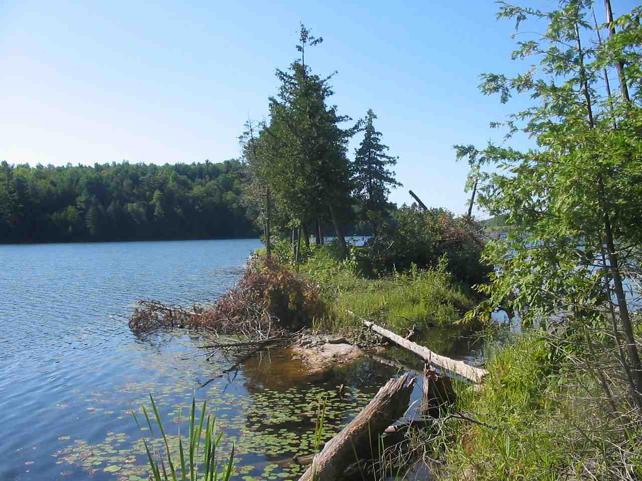 00 Beebe Hill Road Milton, Vermont Sold in 2019 Coldwell Banker