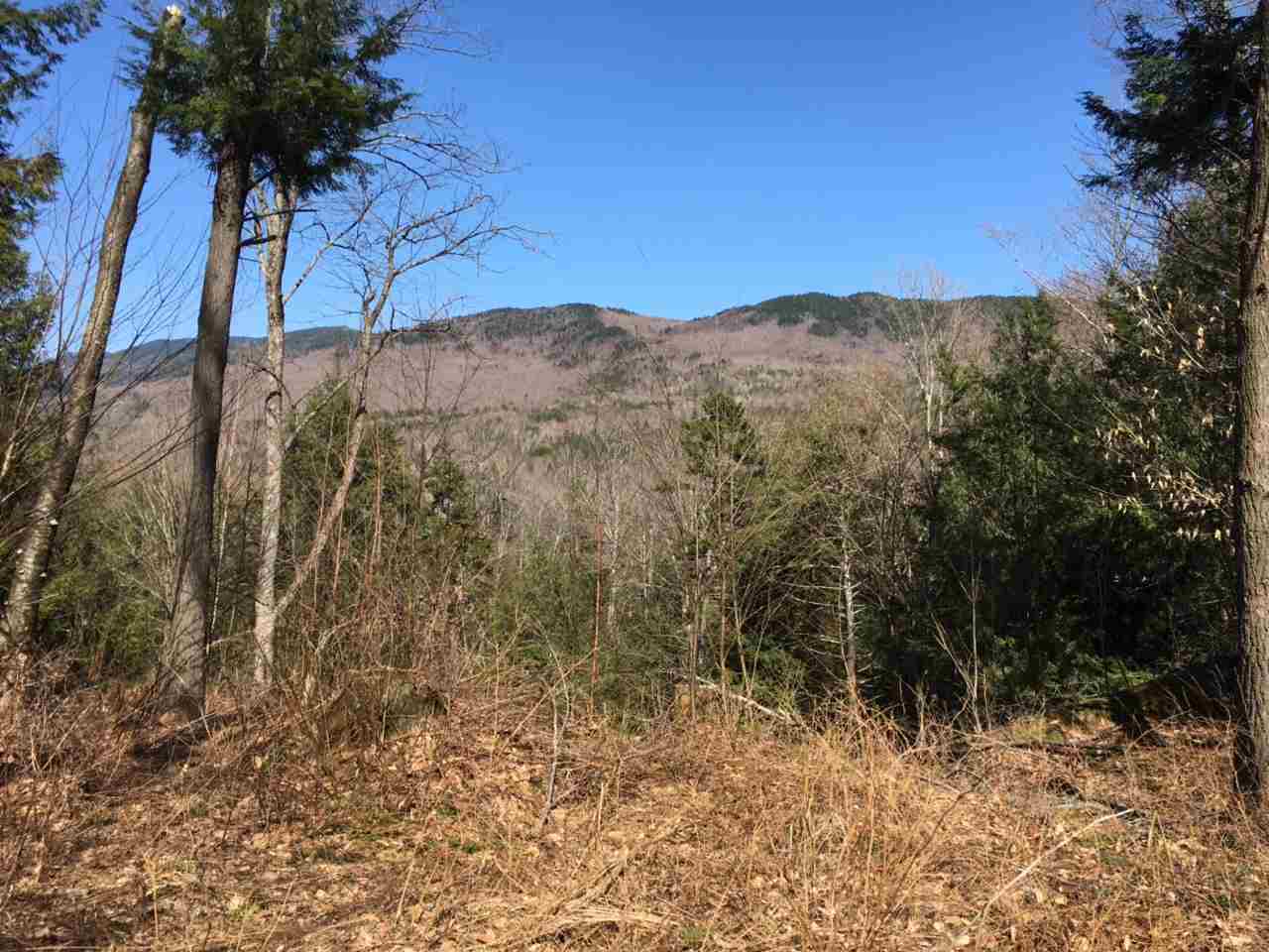 475 (Lot 14) Evergreen Woods Road