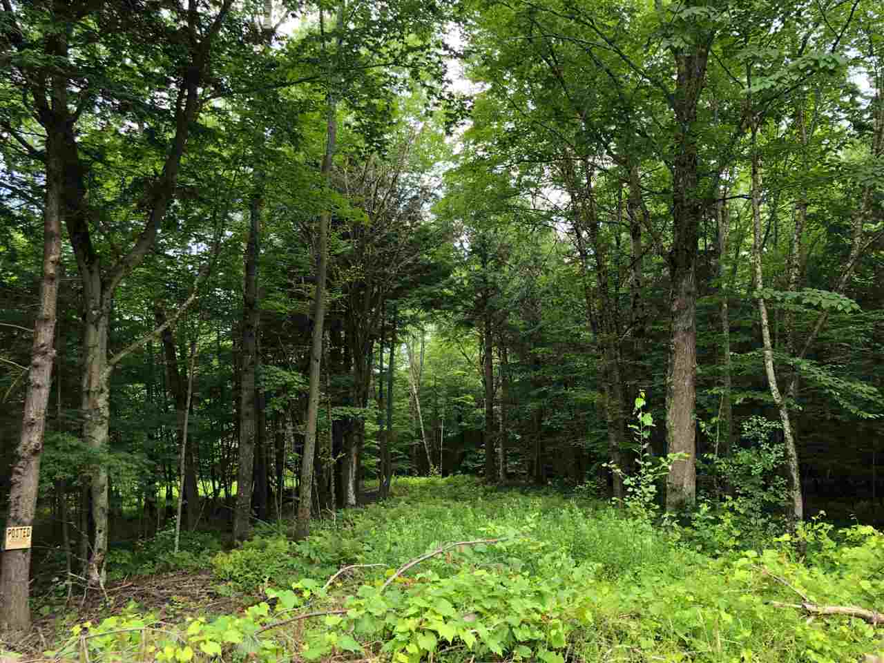 250 Lower Road Plainfield, Vermont Sold in 2019