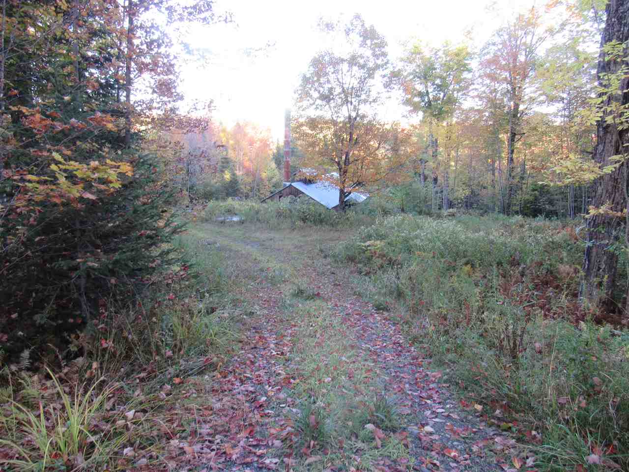 477 Green Lane