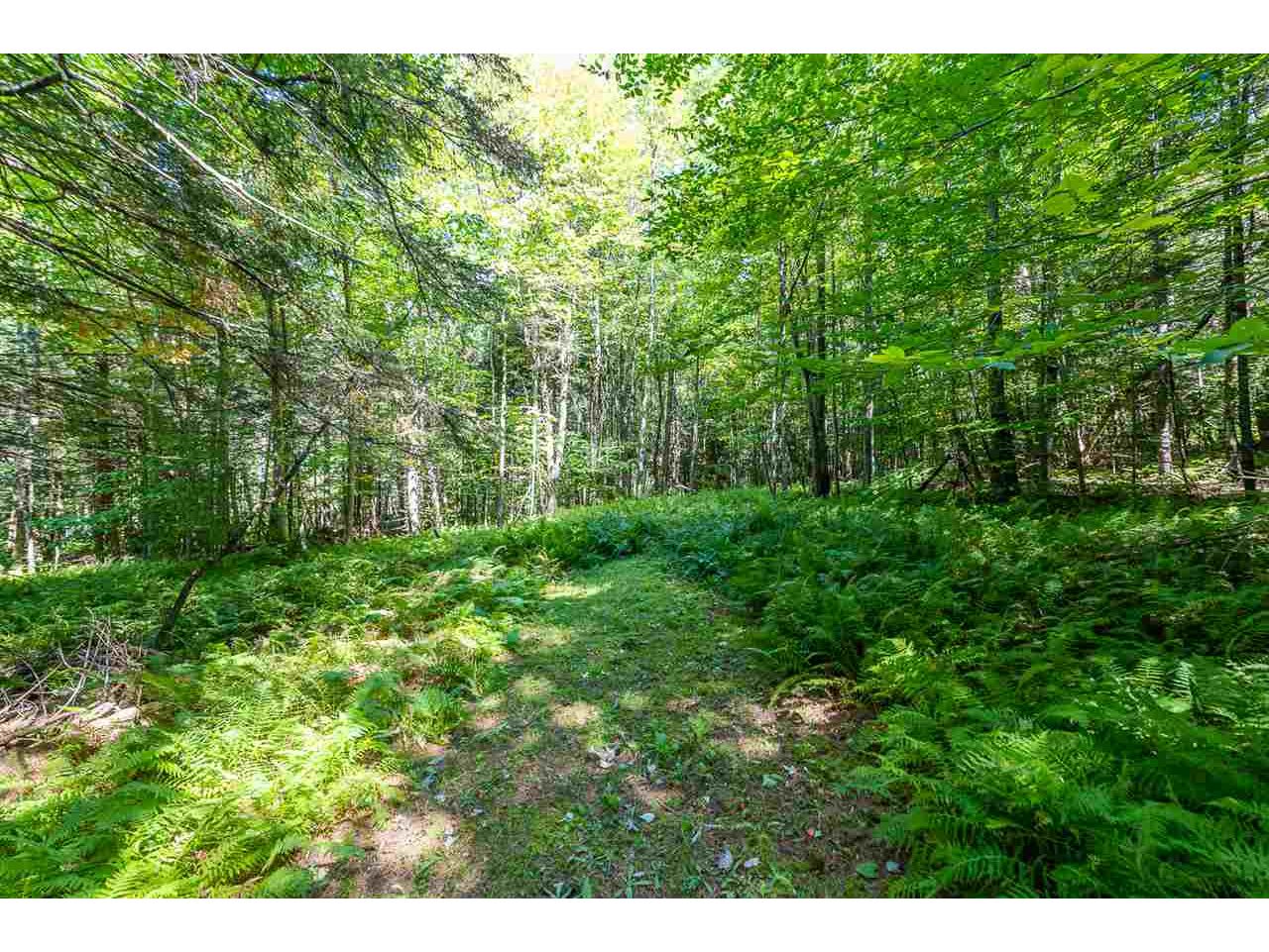 35 Wild Berry Lane Underhill, Vermont Sold in 2019