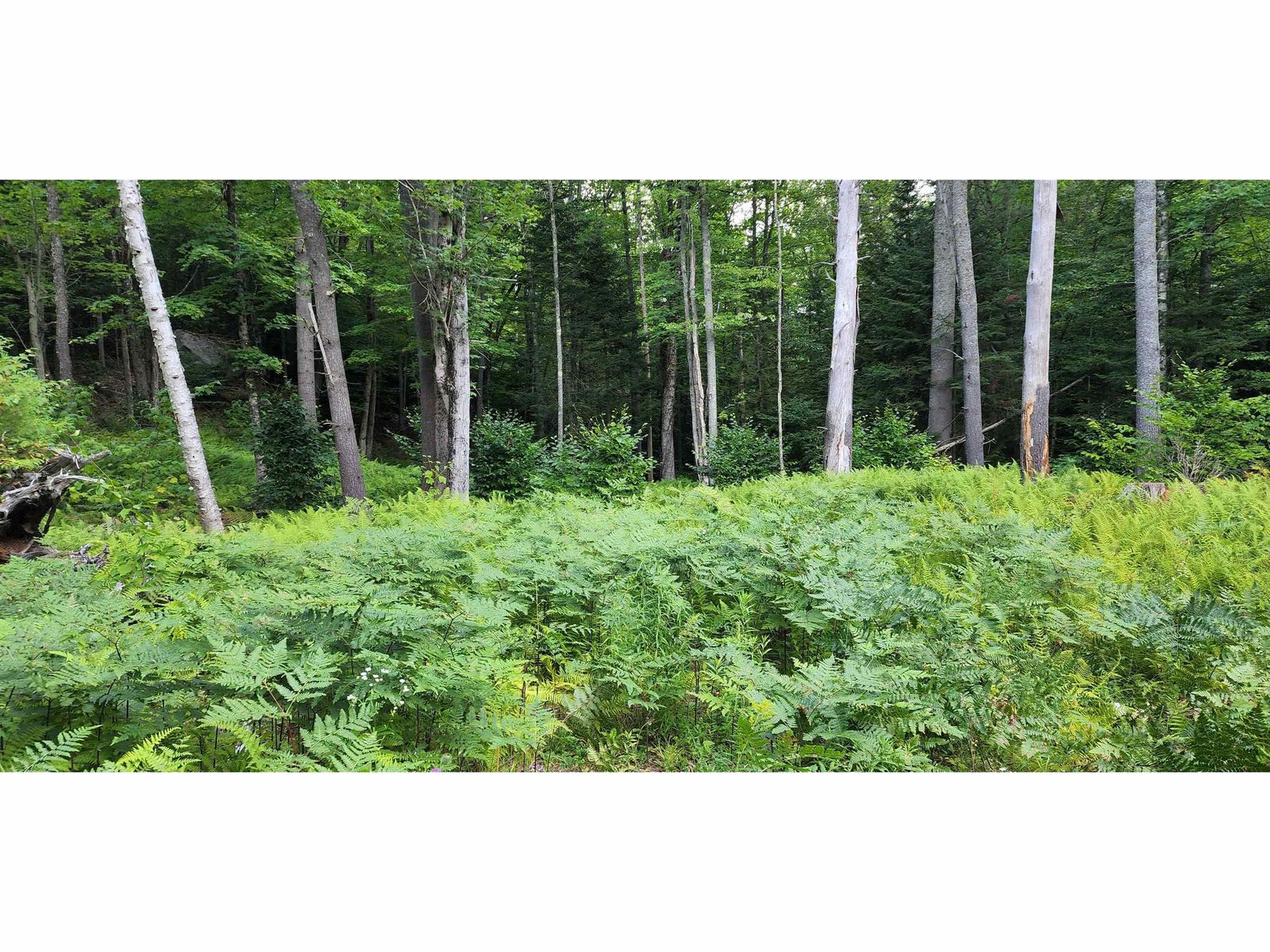 478 Valley Lake Road