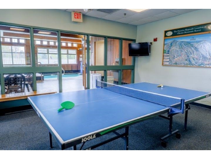 Game Room at the Solitude Daylodge